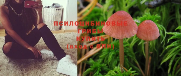 героин Алексин