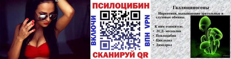Псилоцибиновые грибы Cubensis Змеиногорск