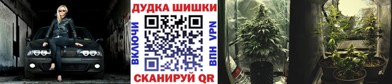 Бошки Шишки марихуана  Змеиногорск 
